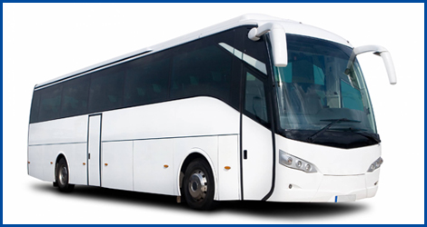 Corporate Retreats Made Easy: Charter Bus Rentals for Toronto Businesses