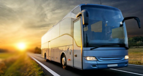 From Commuters to Tourists: How Coach Buses Serve Diverse Travel Demands